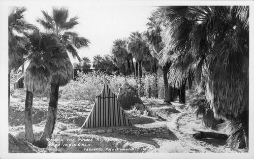 Among The Palms At Biskra Near Indio Calif