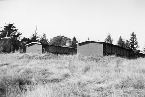 Chicken houses on the Delfina Costella property