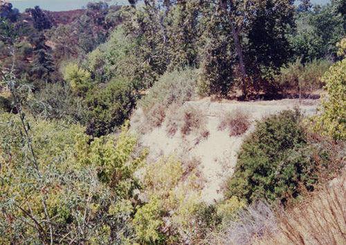 Brown's Canyon Dam, 2001