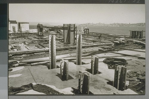 Marin Pier and Tower