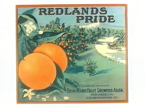 Redlands Pride