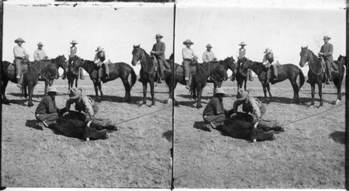 Cowboys Settling a Disoute as to Ownership, Sierra Bonita Ranch, Arizona