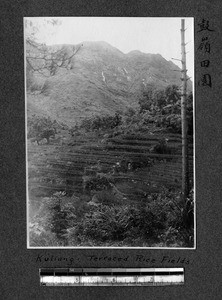 Rice fields at Kuliang, Fuzhou, Fujian, China ca.1911-1913