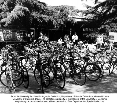 Coffee House, bicycles outside of
