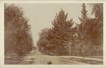 Orange Grove Ave, Pasadena # 1320
