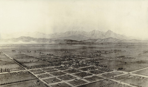 Bird's Eye View of Anaheim, Los Angeles Co., Cal