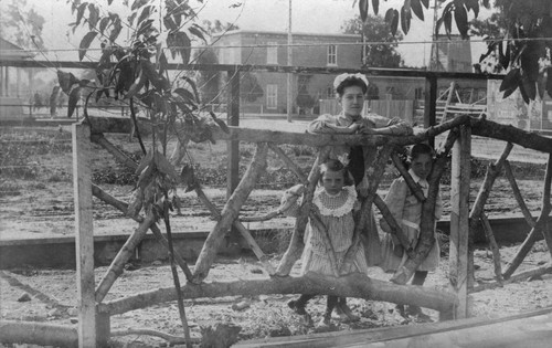 Lucy, Mabel and Elsie Ziegler, Standing at Fence Behind the Commercial Hotel, Anaheim. [graphic]