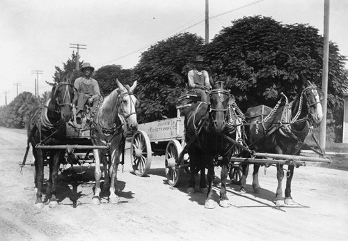 Two Teams of Horses from the Anaheim Truck and Transfer Co., Anaheim [graphic]