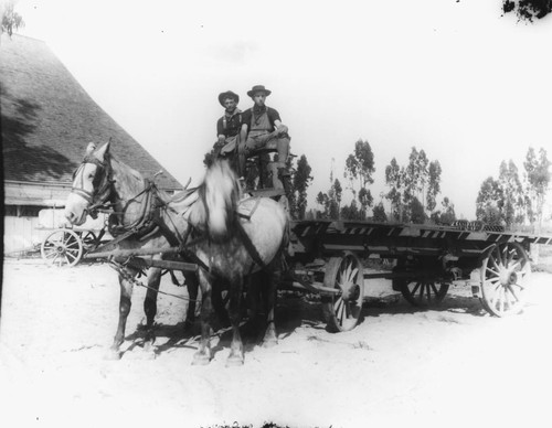 Lorenze Paggi Ranch, Horse-drawn Wagon. [graphic]