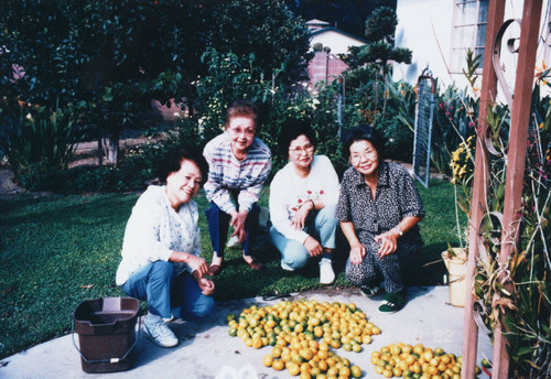 Chieko McBride and Friends Picking Tangerines, Anaheim [graphic]