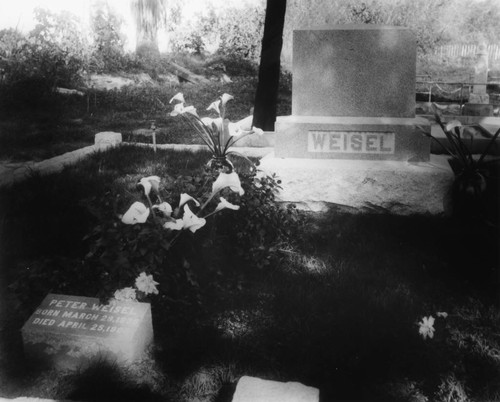 Peter Weisel's Grave, Anaheim. [graphic]