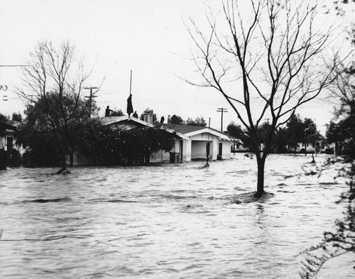 Flood of 1938, People Standing of Roof of House, Anaheim. [graphic]