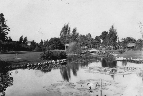 Anaheim City Park, Lily Ponds [graphic]