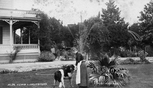 Langenberger Residence and Grounds, Sycamore Street, Anaheim [graphic]