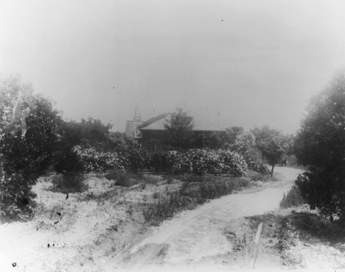 Elsie Lensing Miller House, Anaheim. [graphic]