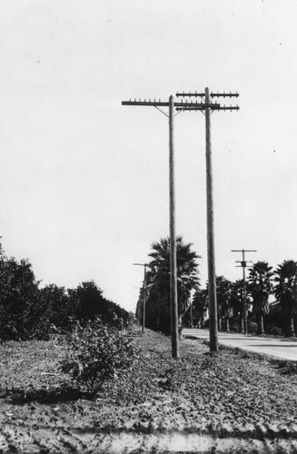 Telephone Poles [graphic]