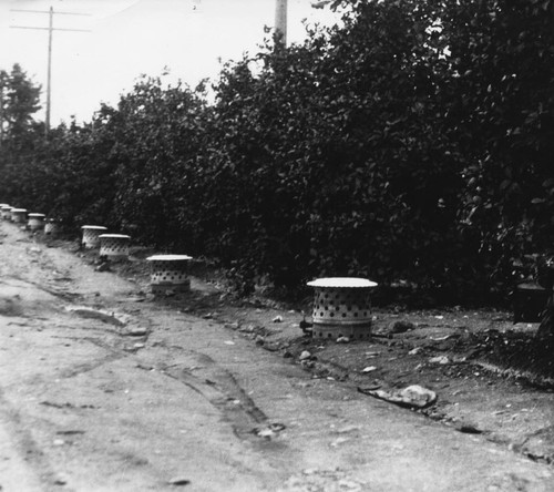 Smudge pots in an orange grove [graphic]