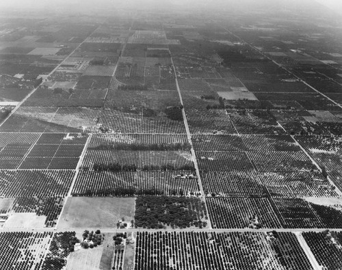 Aerial View of Anaheim. [graphic]