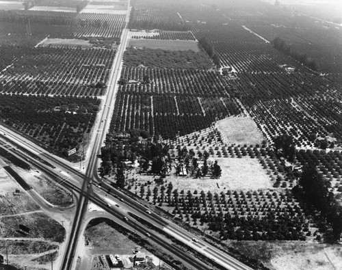 Aerial View of Anaheim, With Manchester Blvd. [graphic]