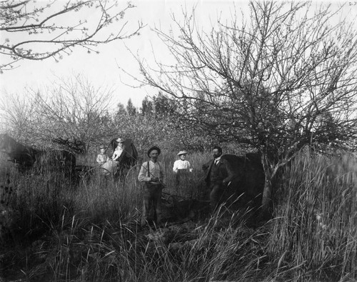 Fertilizing an Orchard, Anaheim [graphic]