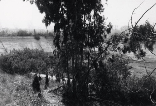 Anaheim Union Water Company Reservoir [graphic]