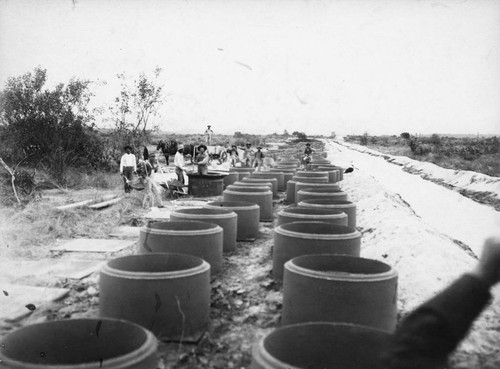 Anaheim Union Water Co., Cement Yard. [graphic]