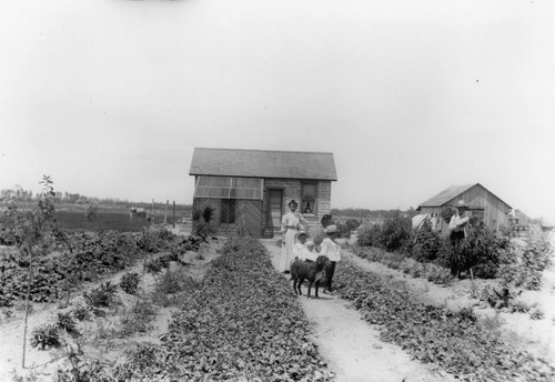 Fisher Family Ranch, Anaheim. [graphic]