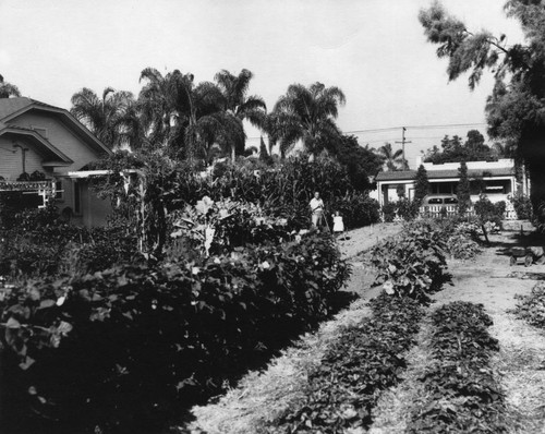 Victory Garden, Anaheim [graphic]