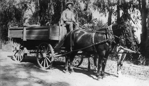 Hauling Barley, Anaheim [graphic]