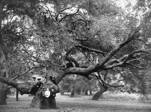 Dittmer family at Orange County Park (now Irvine Park). [graphic]