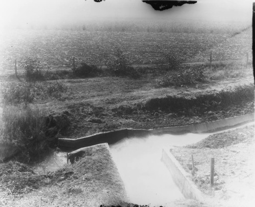 Tuffree Reservoir Ditch, Anaheim. [graphic]