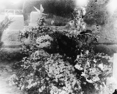 William Warner's Grave, Anaheim [graphic]