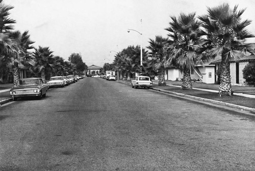 Residential Street, Anaheim [graphic]