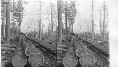 A train loaded with fir logs and a train of empties in the Cascade Mountains, Ore