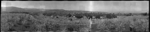 Santa Clara Valley from Cunningham Acres