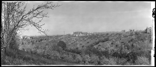 Panoramic view of Humes Ranch