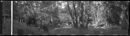 Picnic area at Congress Springs Park