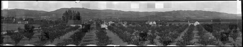 Panoramic view of orchards and houses