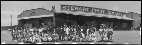 Group portrait of employees at the Stewart Fruit Company
