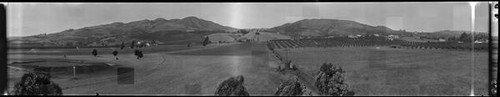 Golf course and orchards along the eastern hills of Santa Clara Valley