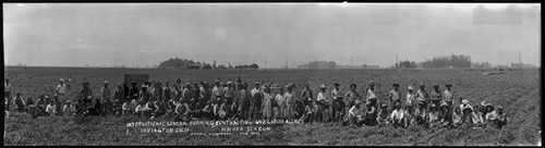 Group portrait of laborers hired by the International General Farming Contracting and Labor Agency