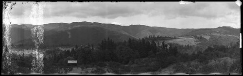 Cabin and orchards in the Santa Cruz Mountains