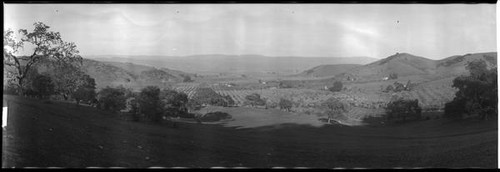 Hillside orchards in Morgan Hill during Spring