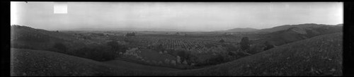 Panoramic landscape of orchards in Santa Clara Valley