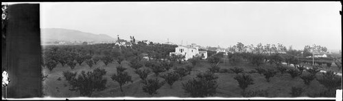 Orchards photographed from Wire Mill