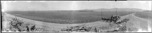Bland Ranch near King City