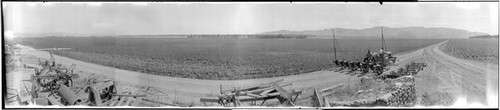 Bland Ranch near King City