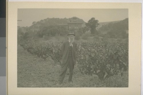 [John Muir in vineyard at his home in Martinez.]