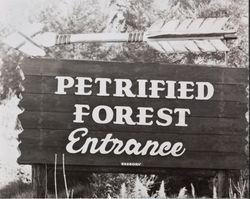 Entrance sign to the Petrified Forest, Calistoga, California