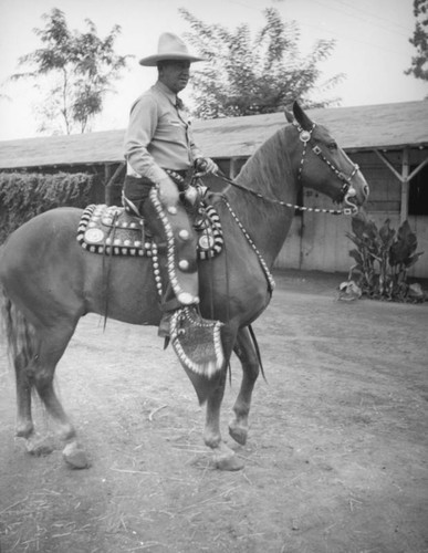 Horse and rider at Los Angeles County Fair